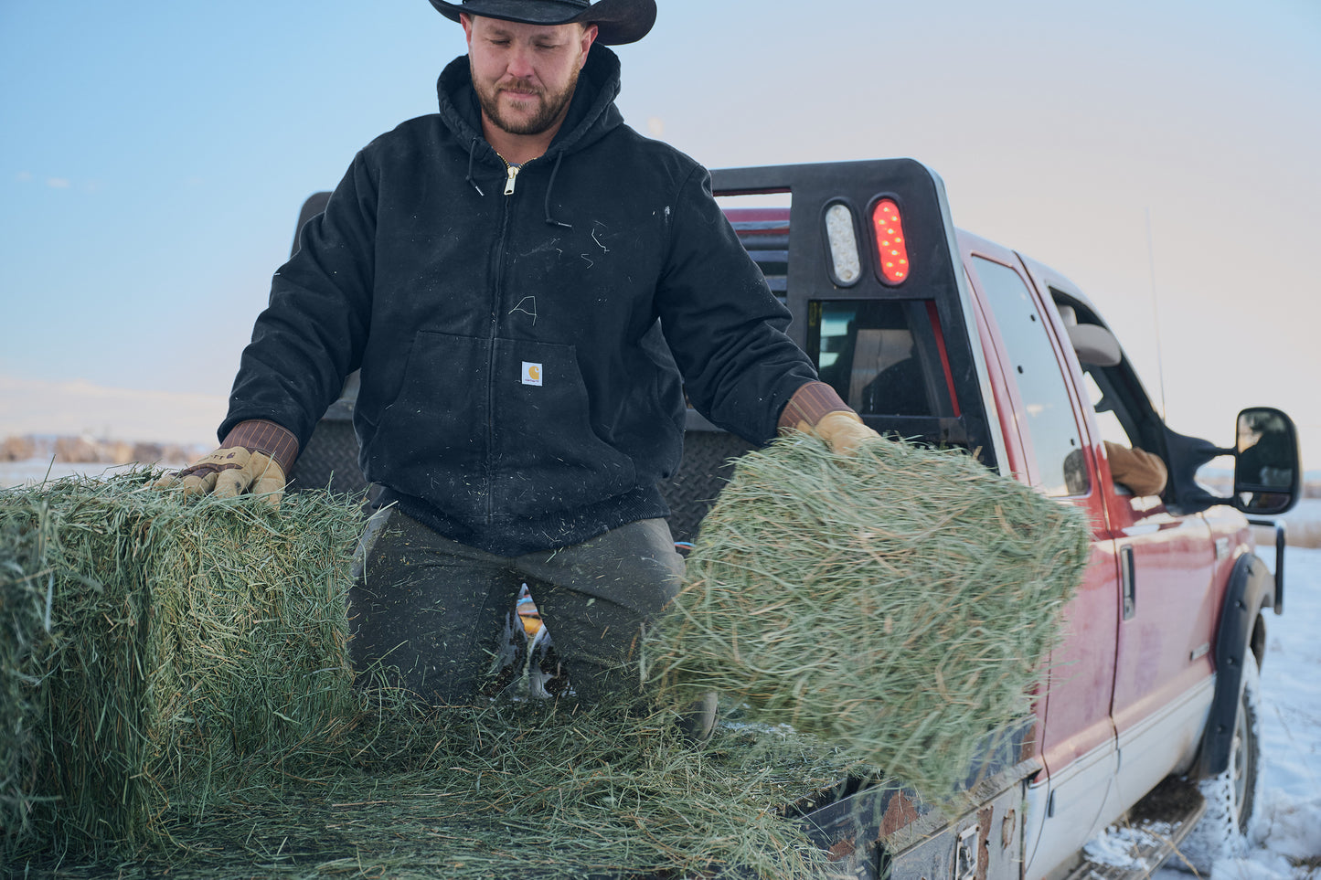 Carhartt® Duck Traditional Coat
